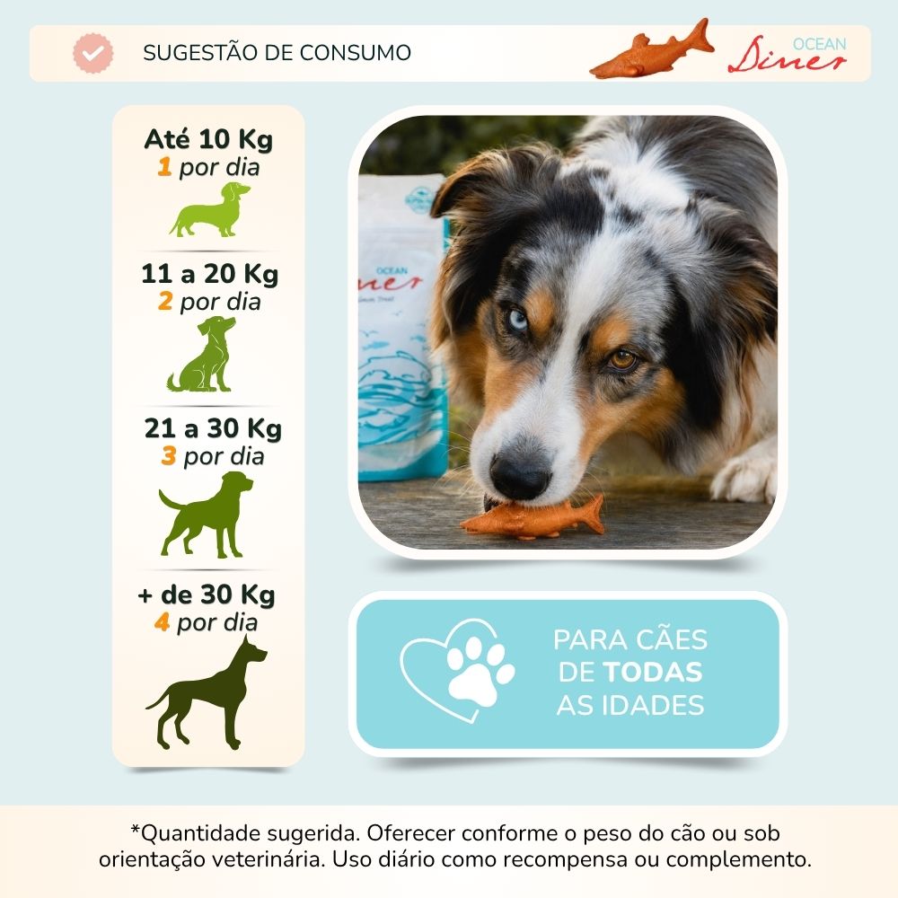 Guia de consumo Ocean Diner por porte